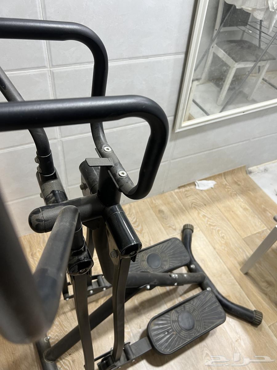 للبيع غزال الطاير64575112665601110