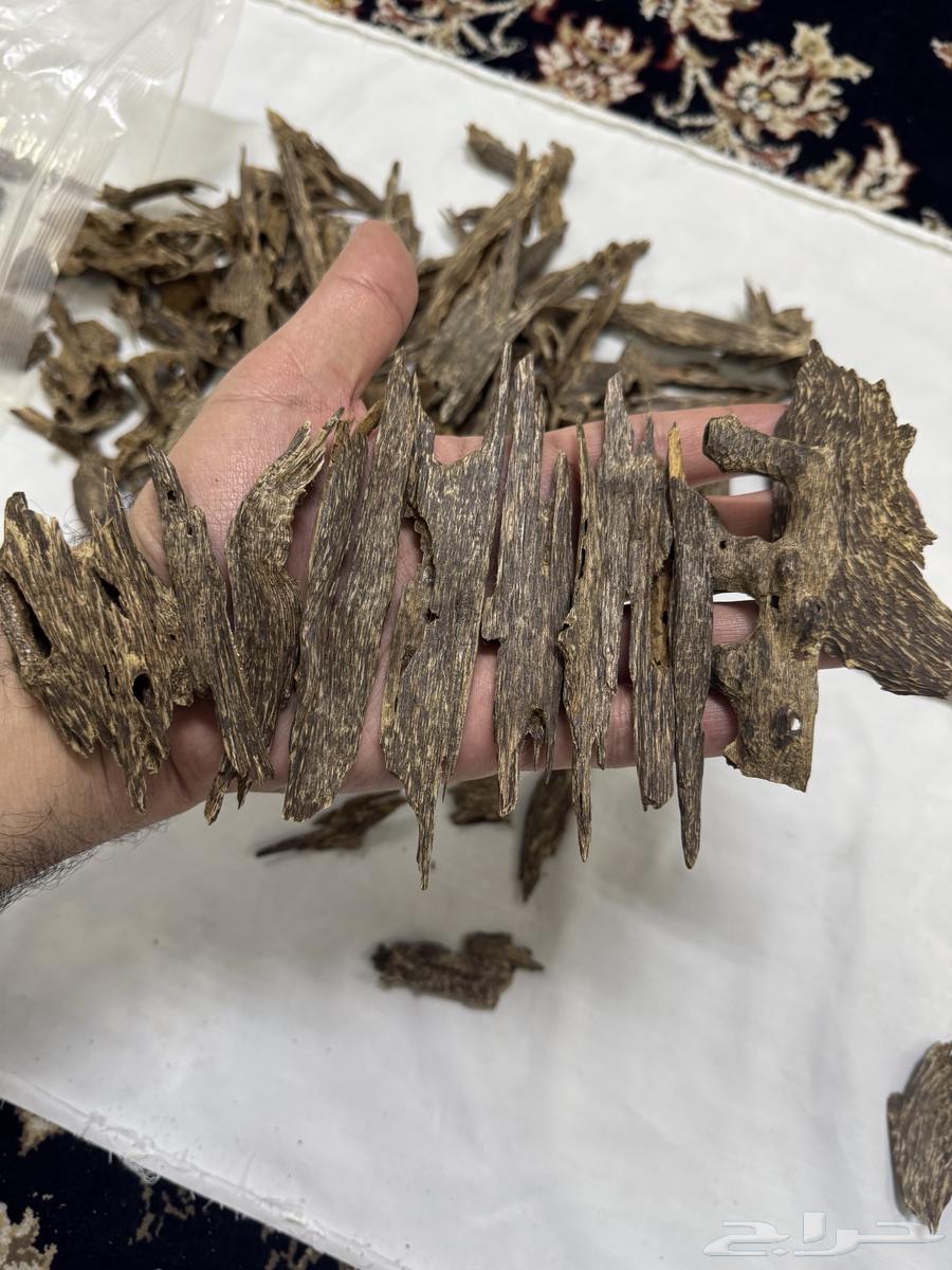 عود ماليزي غابة بهانج فاخر دبل سوبر واعلى64578214981379111