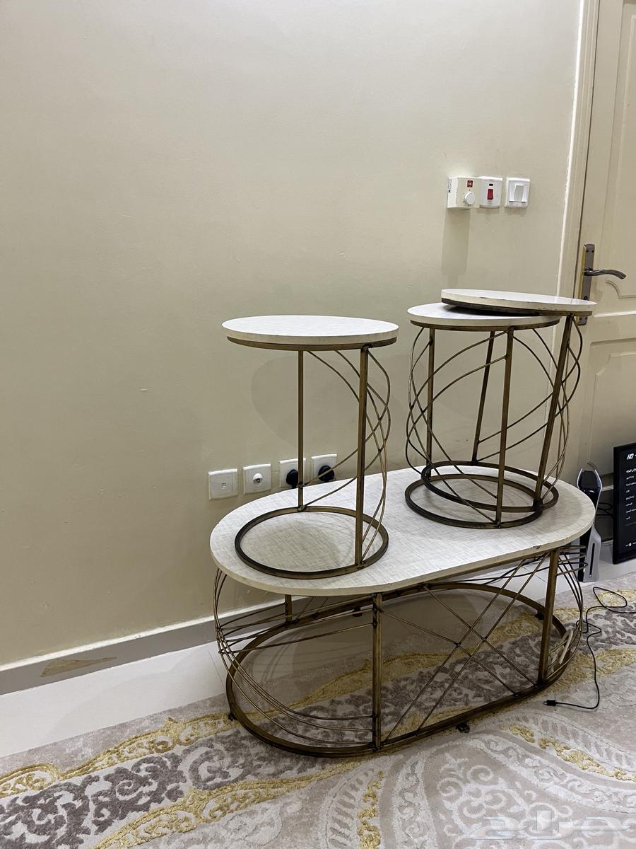 أرائك نظيفة وستائر وبسط وطاولات 100064574383294849112