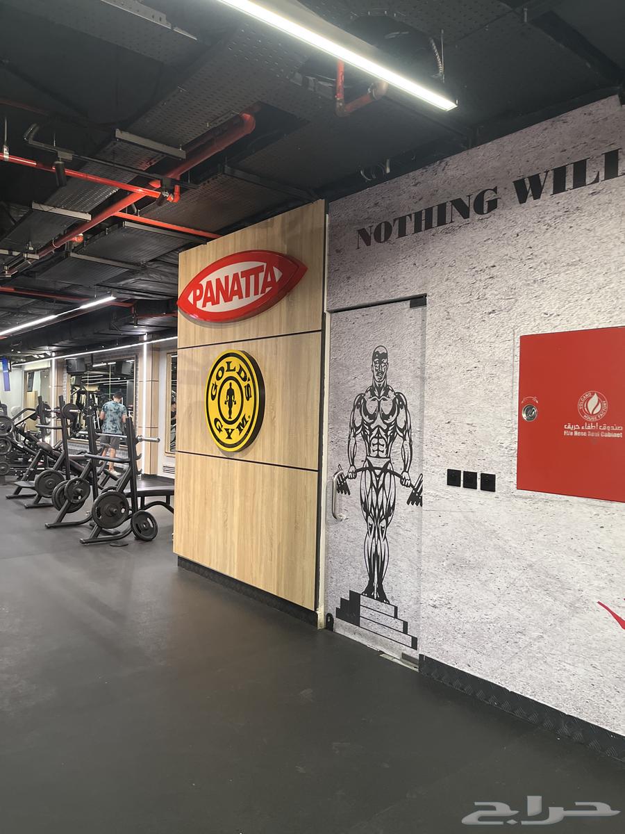 اشتراك قولدز جيم64578507692291110