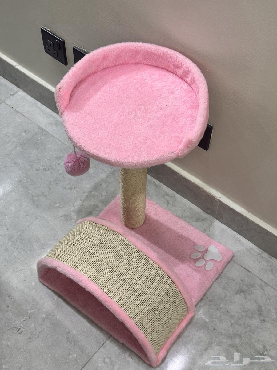 شجره العاب للقطط متوسطة الحجم64577346117761111