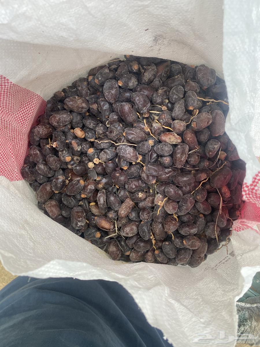 Halal Dates64577950605699112