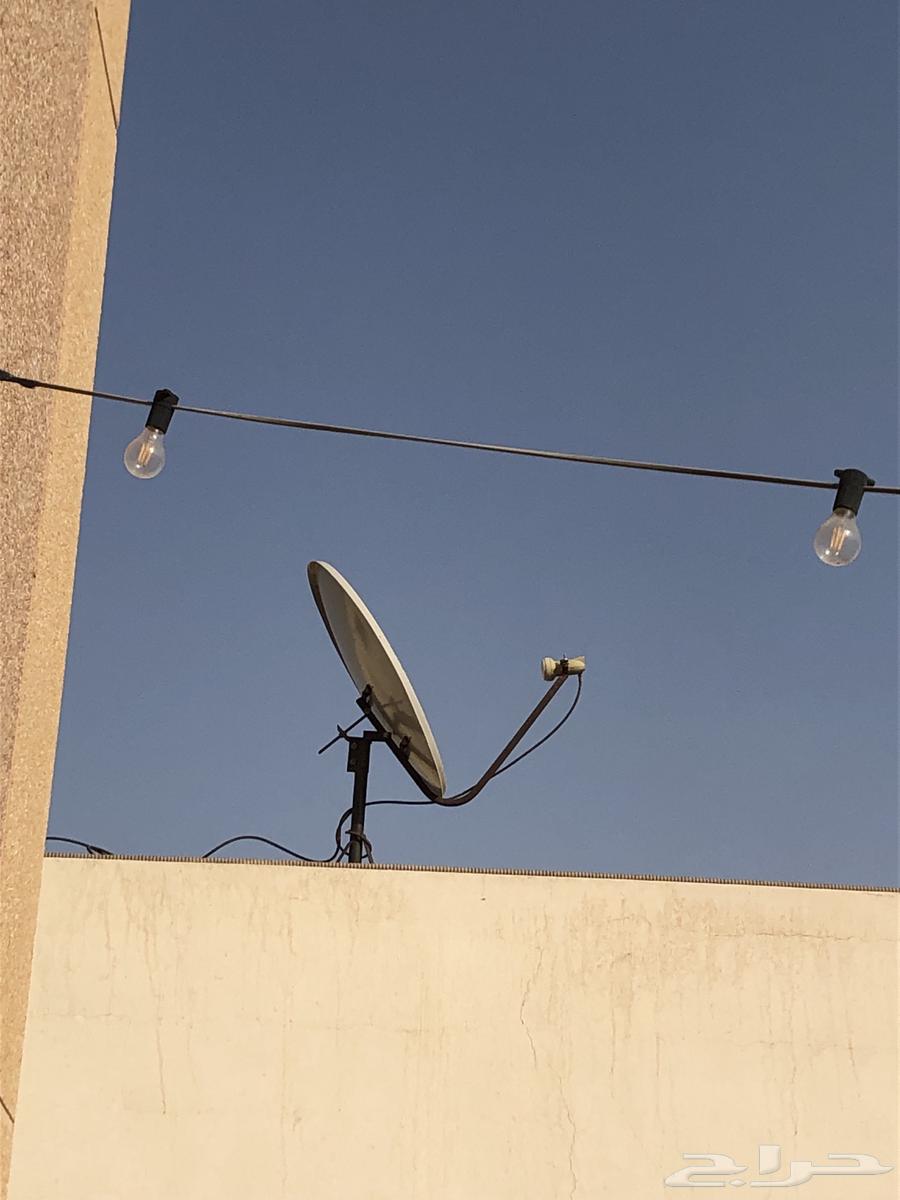 Screen with receiver and dish64458750009859111