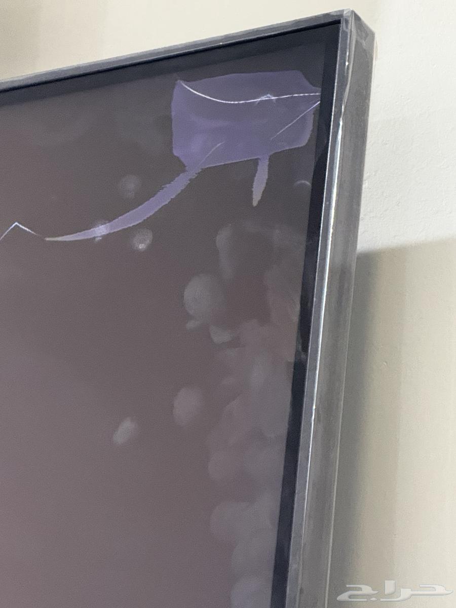 تلفزيون ال جي 65 بوصه64578214855681114