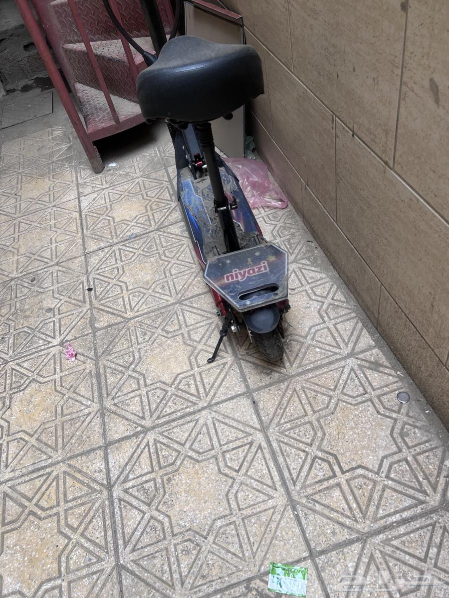 Scooter64575559580035110