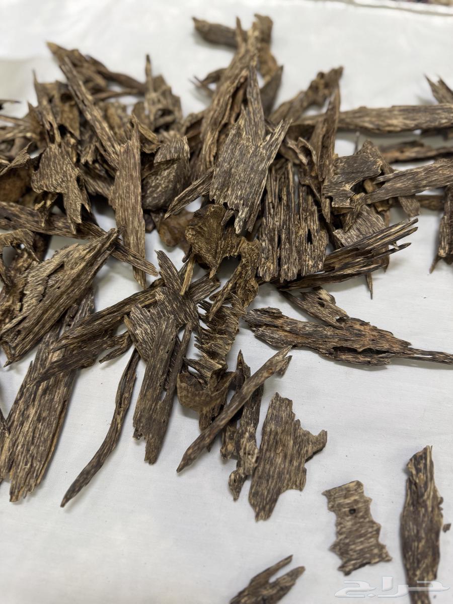 عود ماليزي غابة بهانج فاخر دبل سوبر واعلى64578214981379113