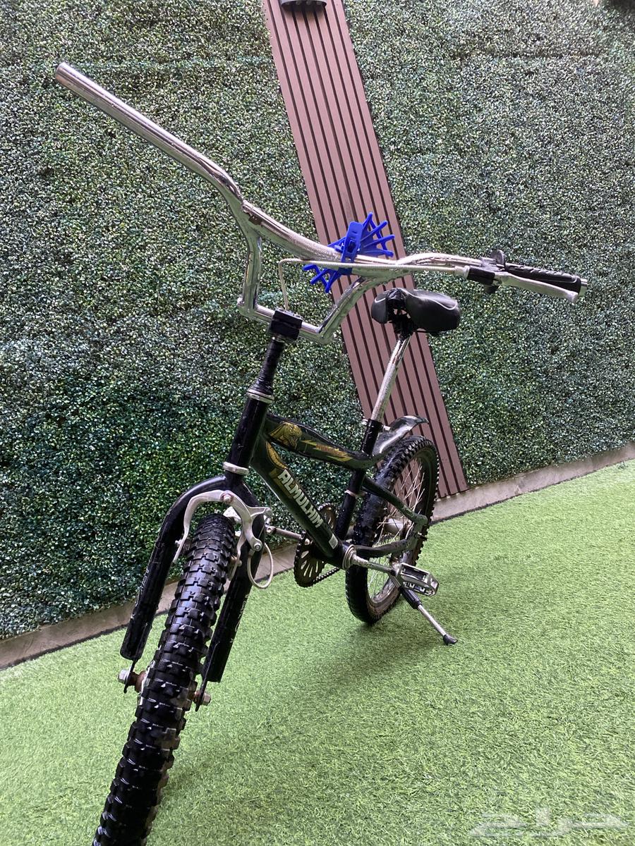 Cobra Cycle Snake64577078605313114