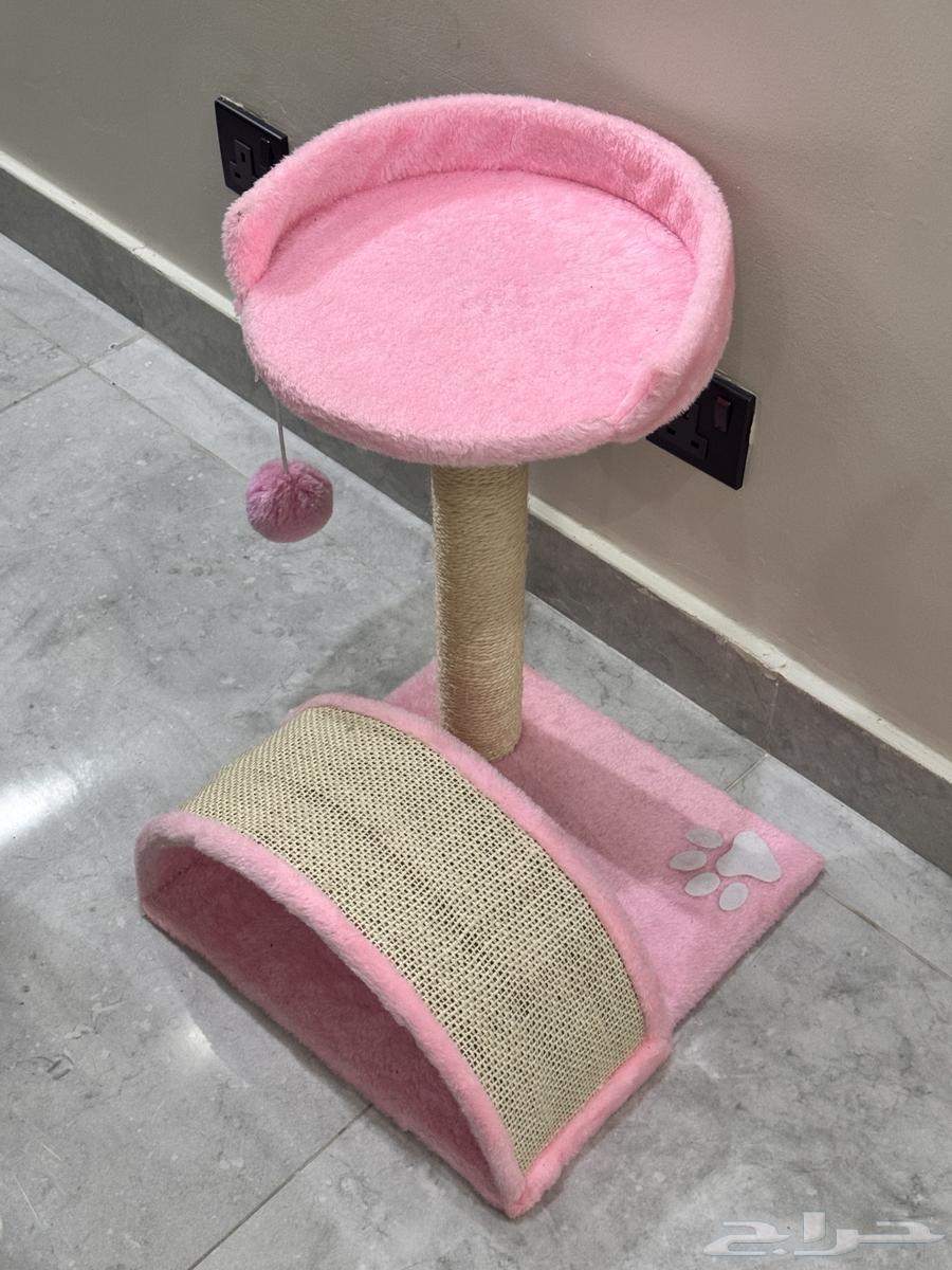 شجره العاب للقطط متوسطة الحجم64577346117761112