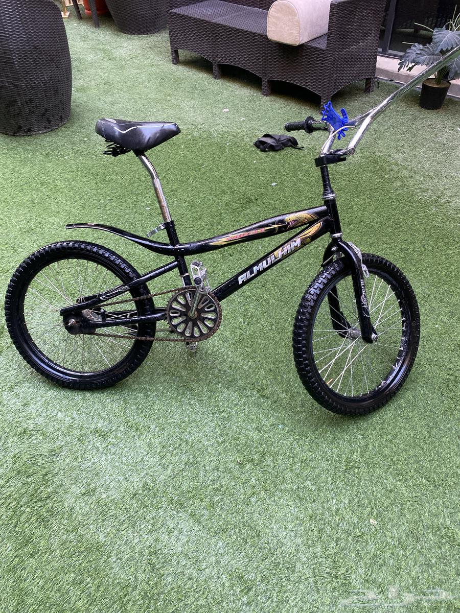 Cobra Cycle Snake64577078605313110