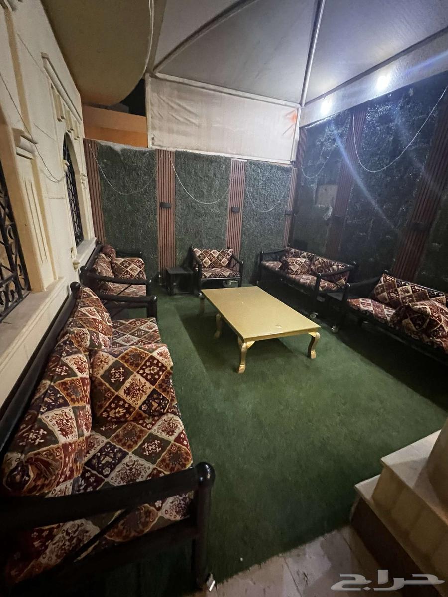 Winter iron session with clean sofa64576980472578110