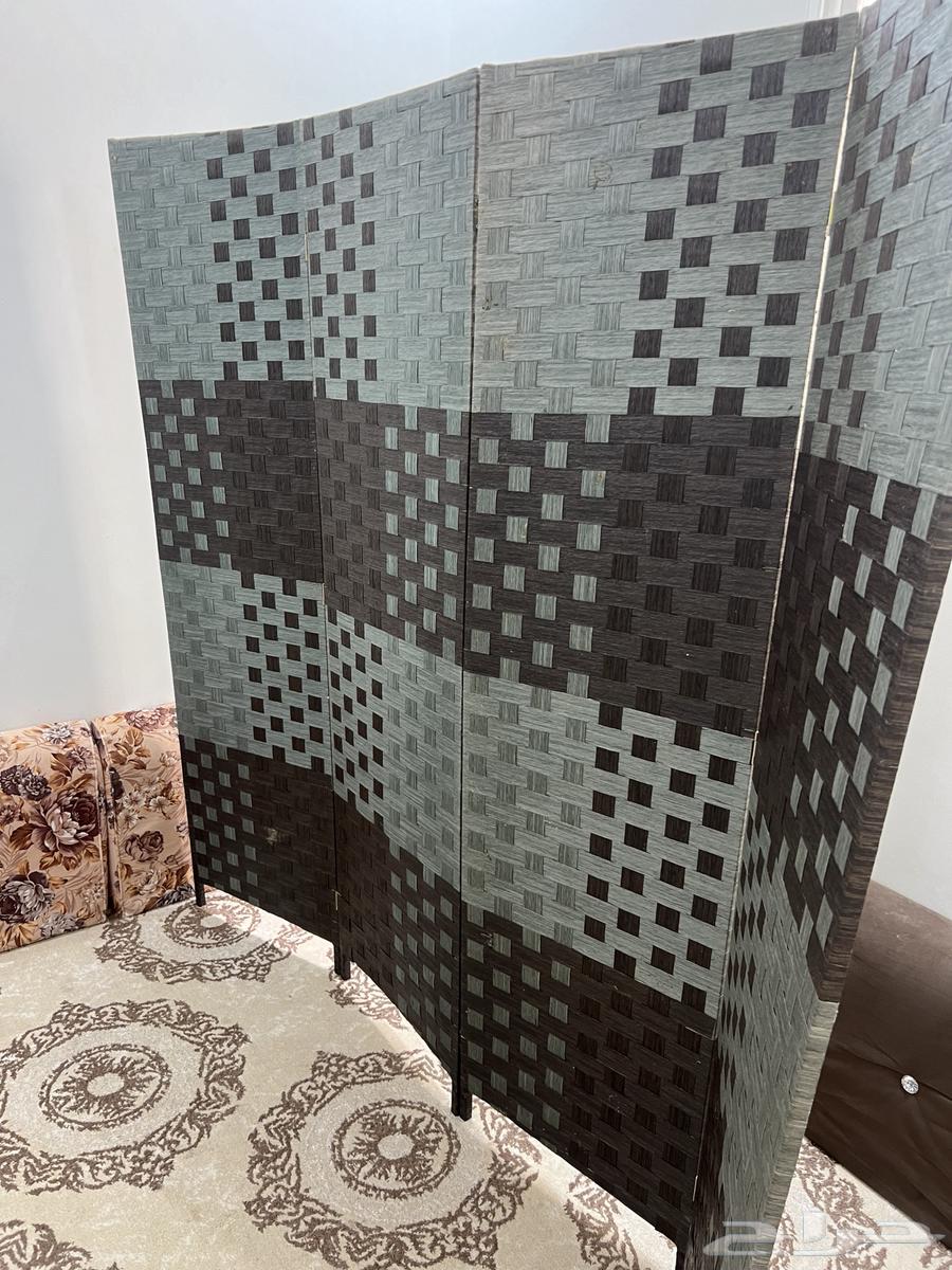 للبيع غزال الطاير64575112665601113