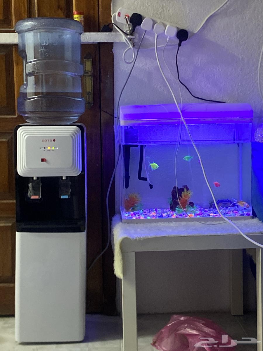 عندي الحوض السمك ويا السمك ب 150 وعندي البراده جديده 15064574943773058110