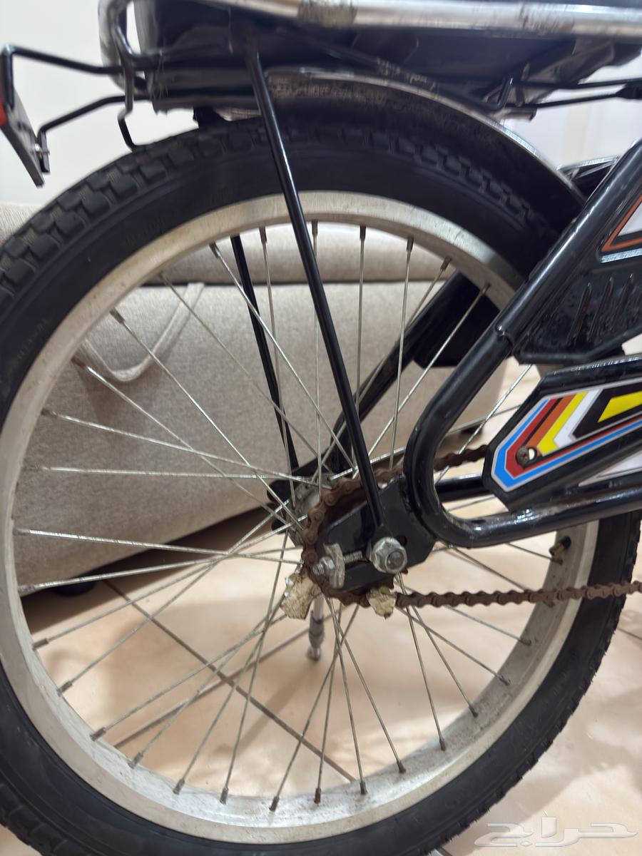 دراجه رامبو مقاس 2064578173039618112