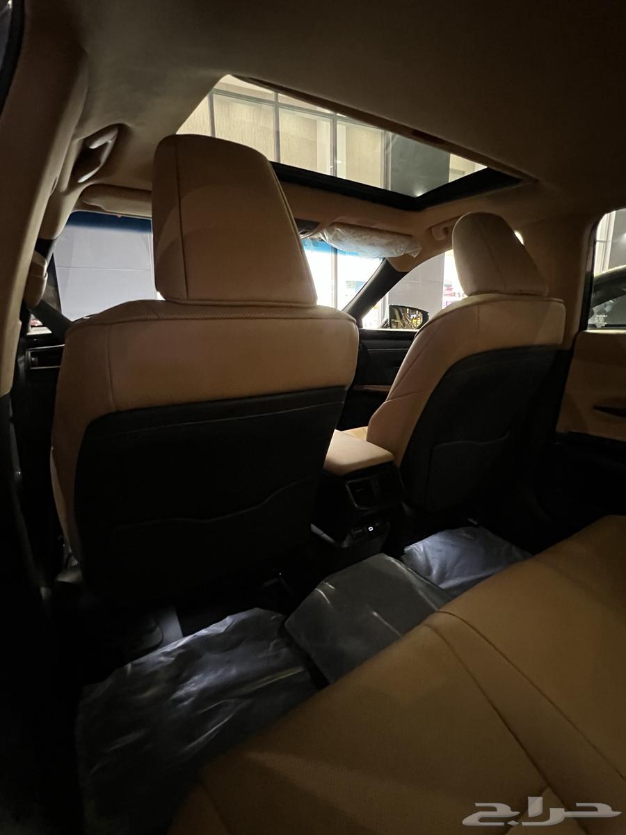 Going and returning to Bahrain today, passenger delivery agent from and to Bahrain64154899316867111