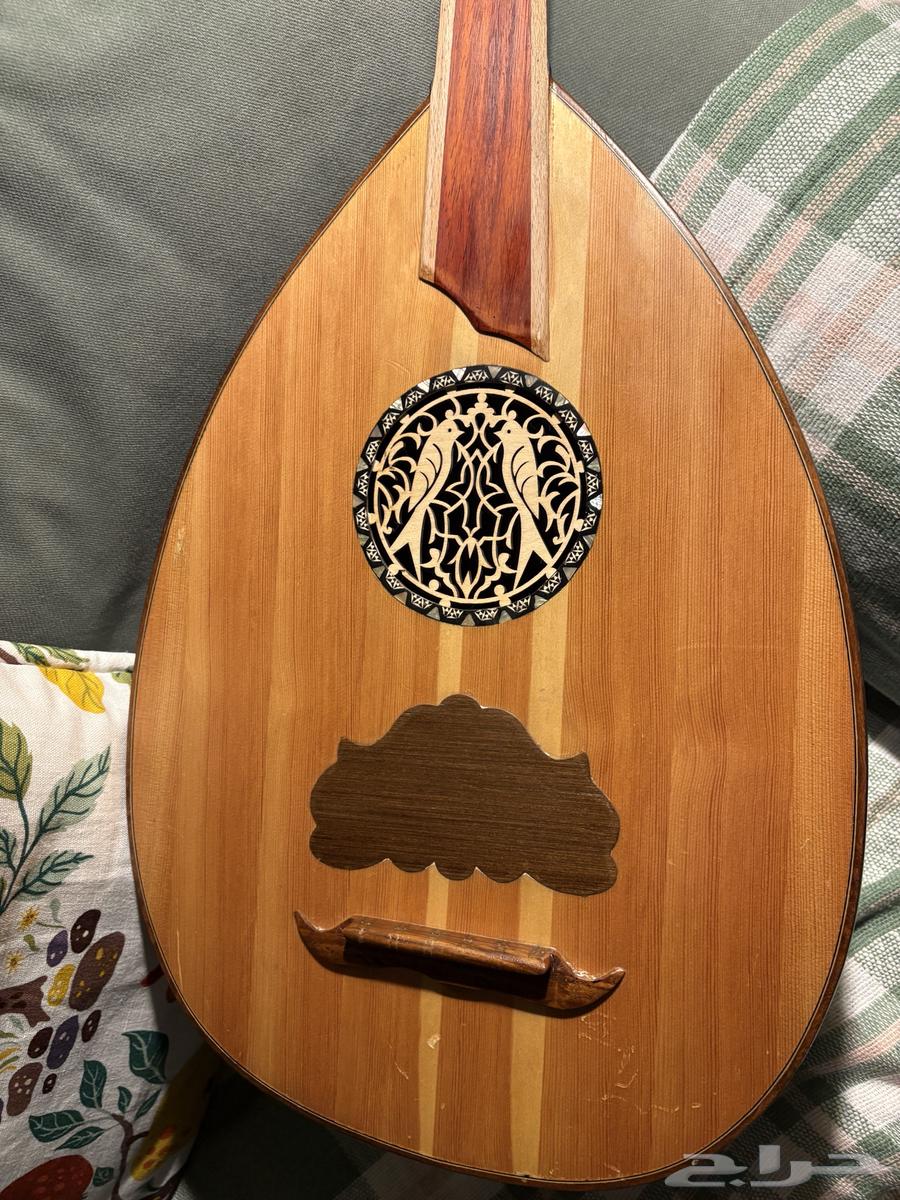 عود مصري (تعليمي)64575335840898113