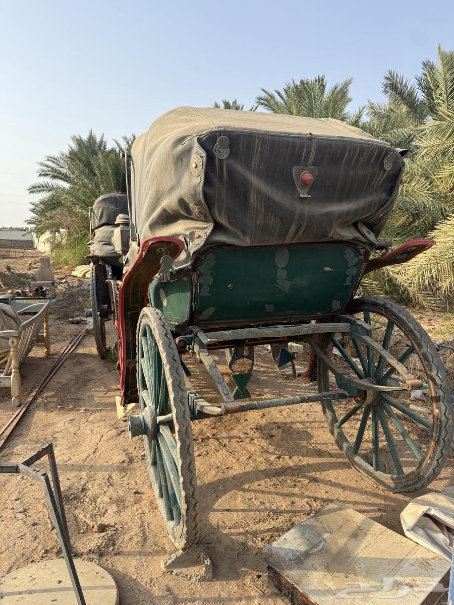 عربات خيل للبيع64576604241154110