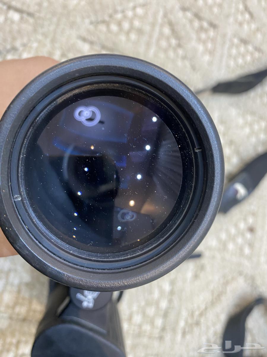 دربيل كايت ياباني64588494815489113