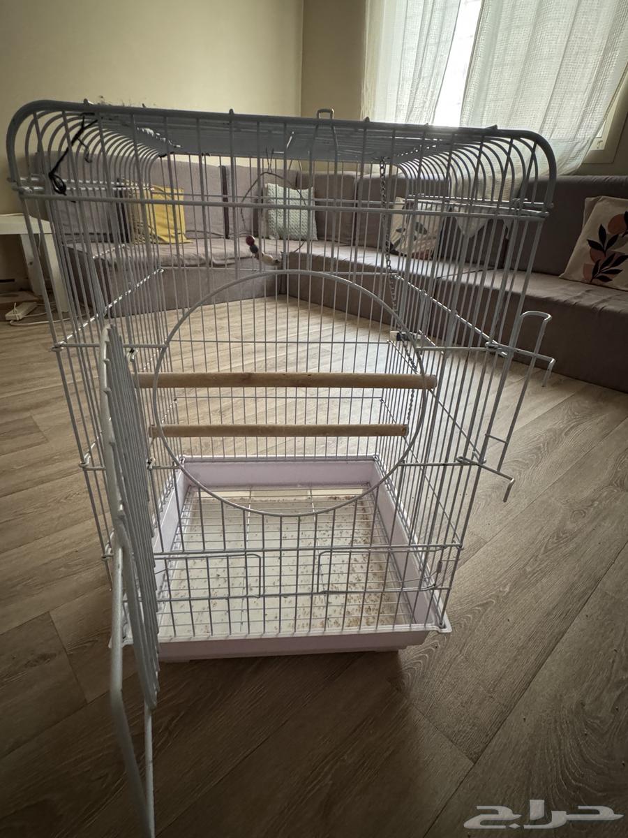 قفص ببغاء64574369747713111