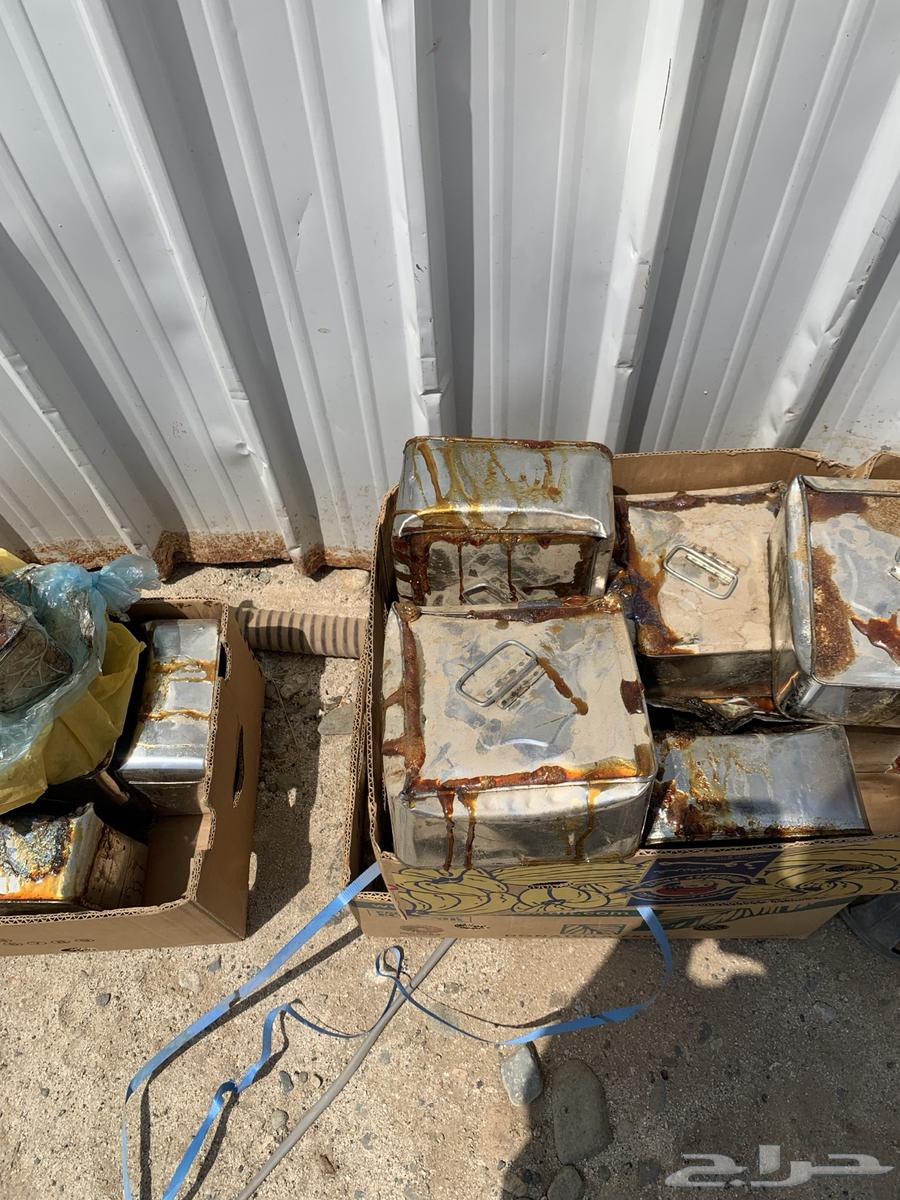 500 Halal Date Bags, Packaging in Sacks, Tins, and Cartons64462800828546111