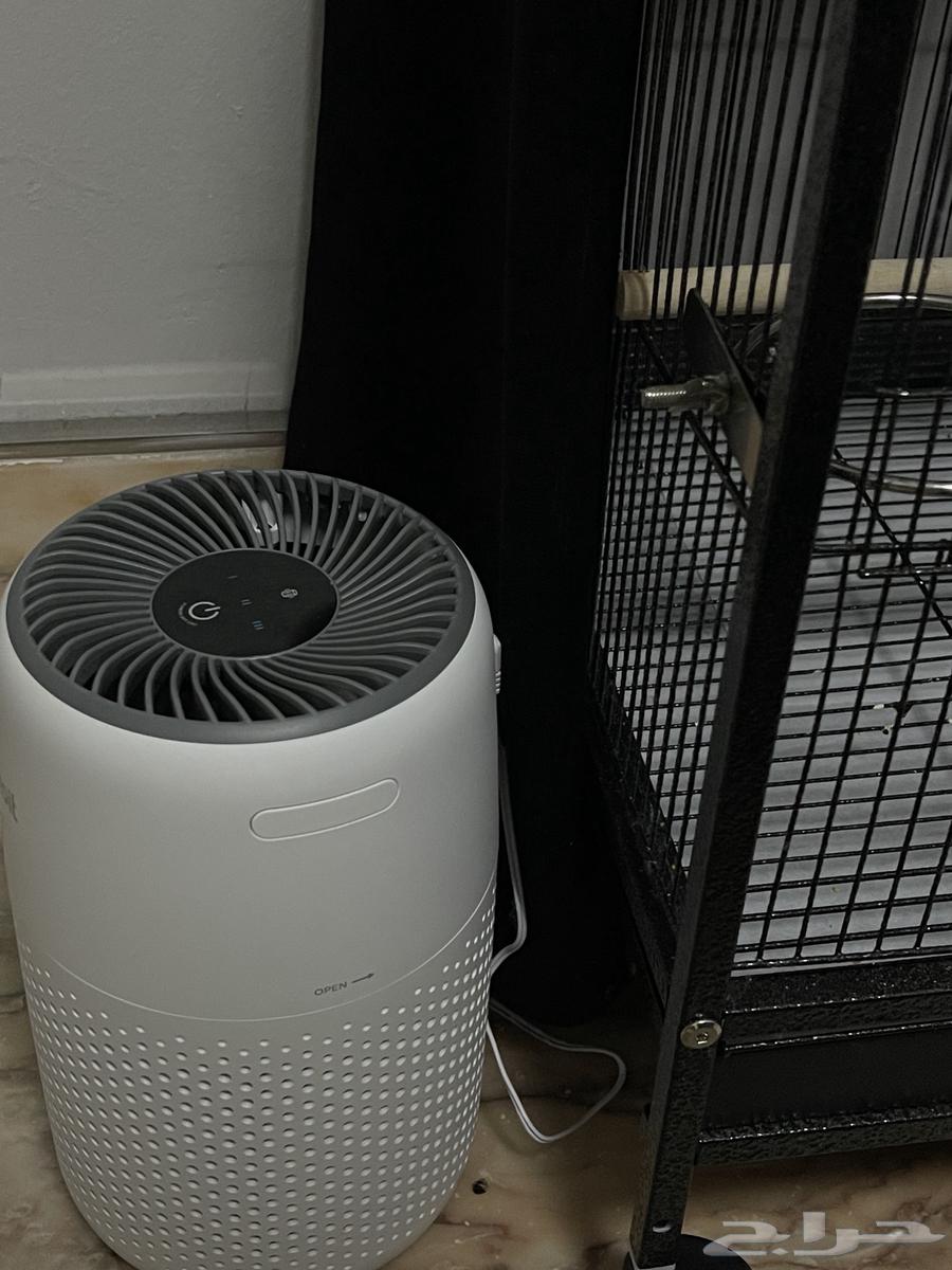 كروانين اليفين جزئيا صحيين للبيع مع توفر قفص ومستلزمات64573516698883114