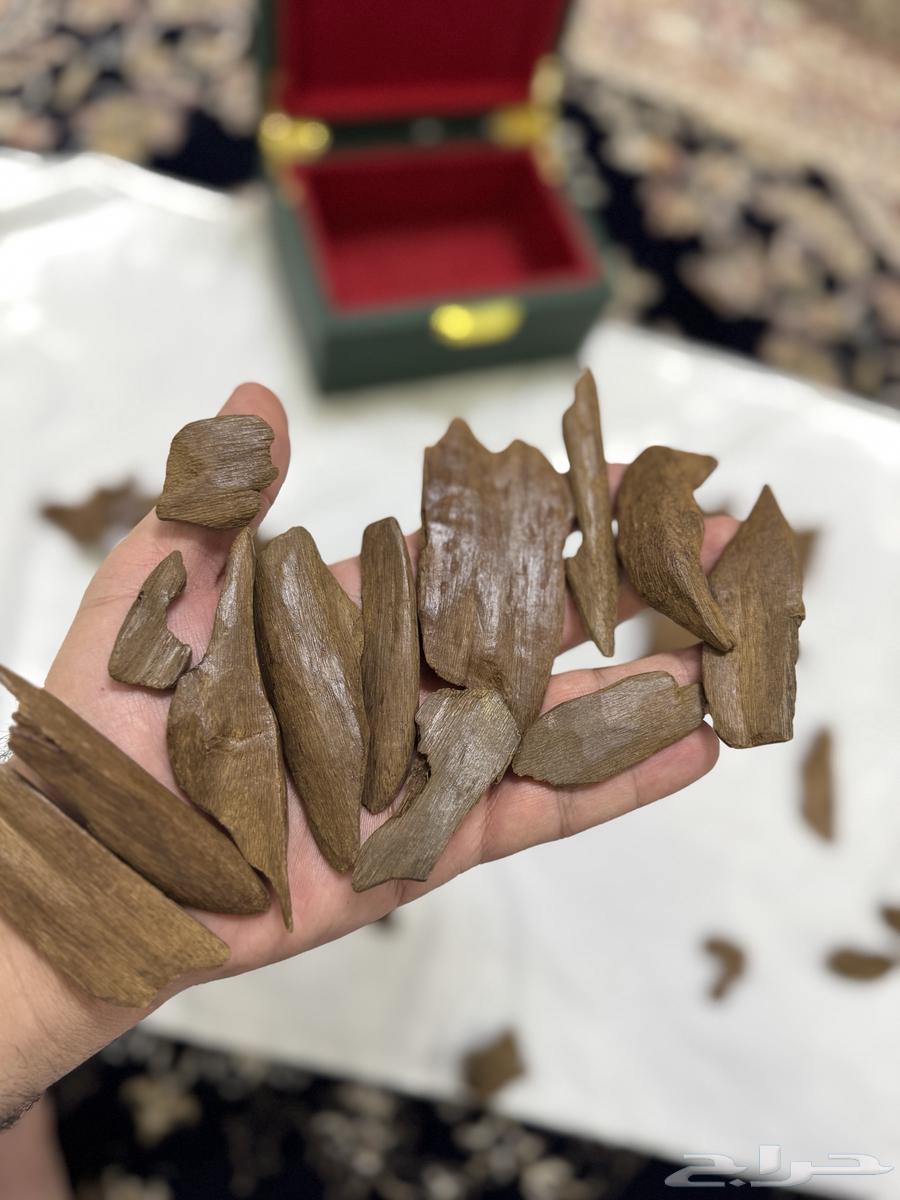 مروكي اصقون تربل سوبر نكهة فاخرة جدا64575363696514110