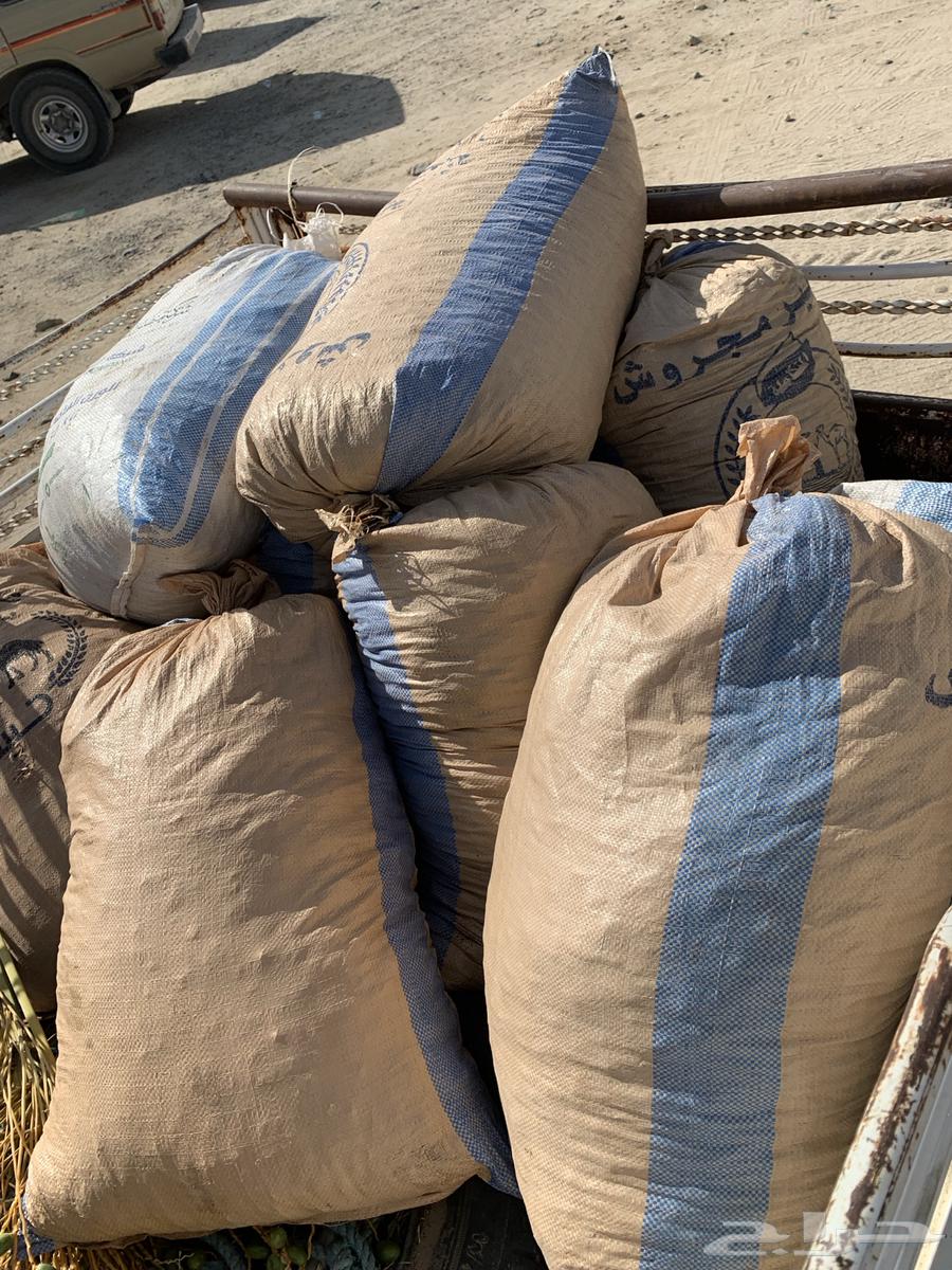 500 Halal Date Bags, Packaging in Sacks, Tins, and Cartons64462800828546113