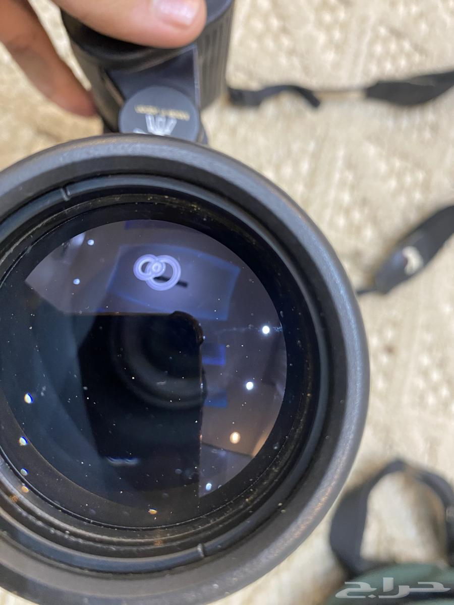 دربيل كايت ياباني64588494815489112