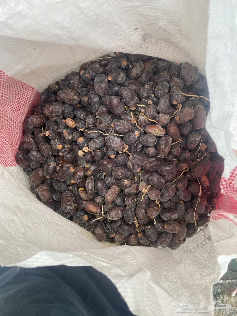 Halal Dates64577950605699113