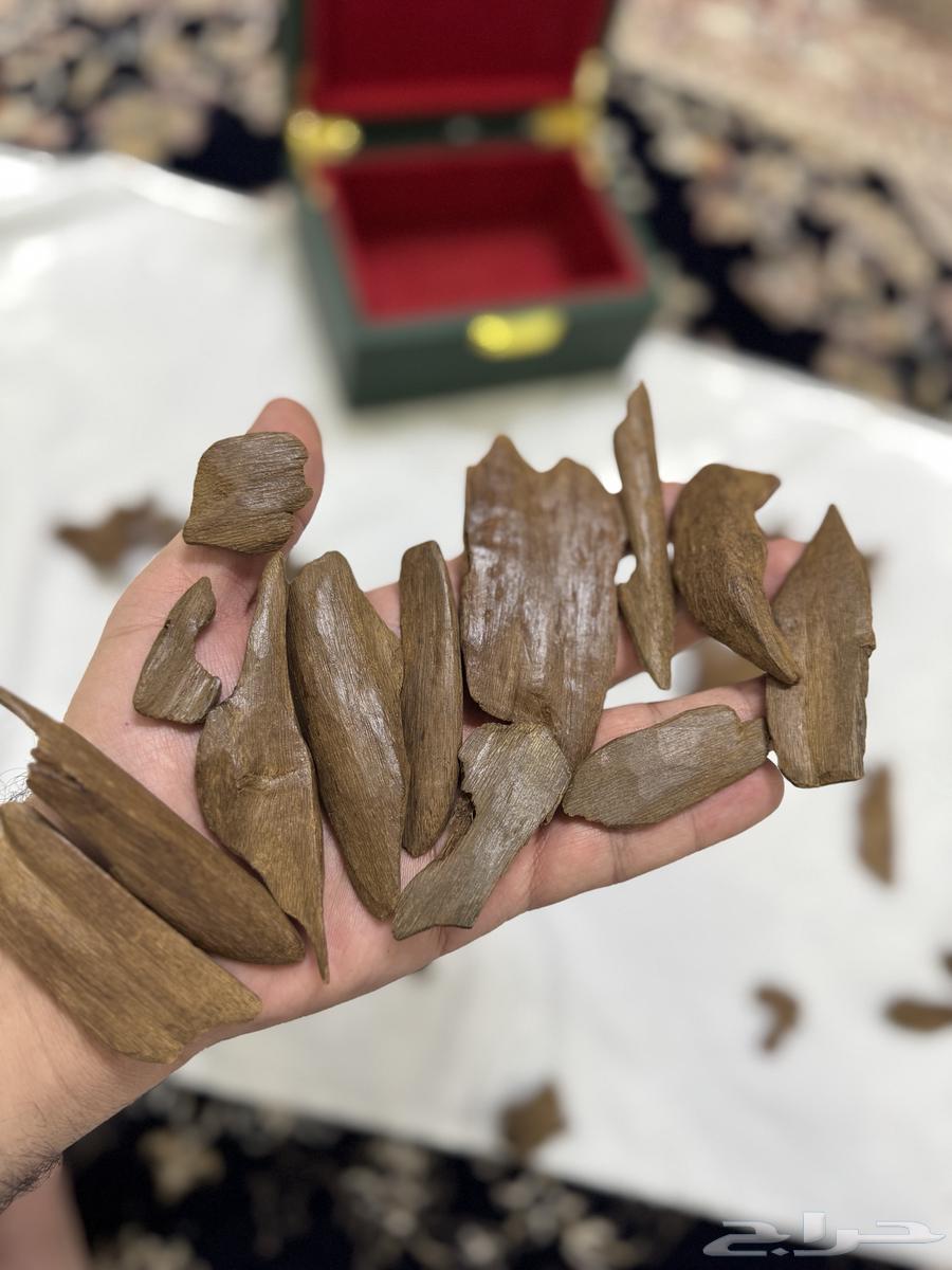 مروكي اصقون تربل سوبر نكهة فاخرة جدا64575363696514111