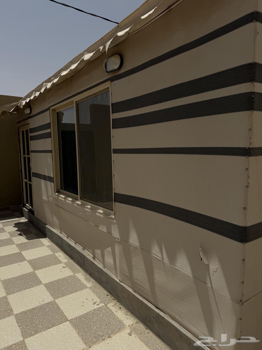 بيت شعر ملكي بالزلفي64577346151425114