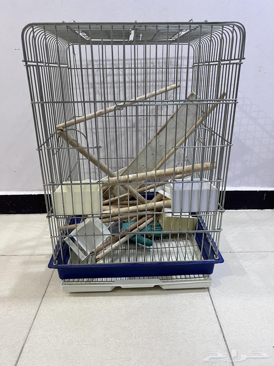 Two bird cages for sale, one or both, clean and complete with all accessories64572650087298113