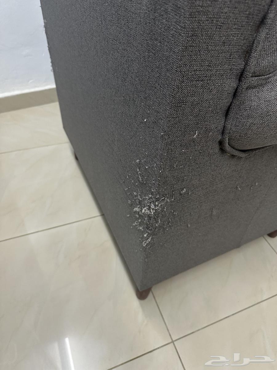 كنب64575987480065114