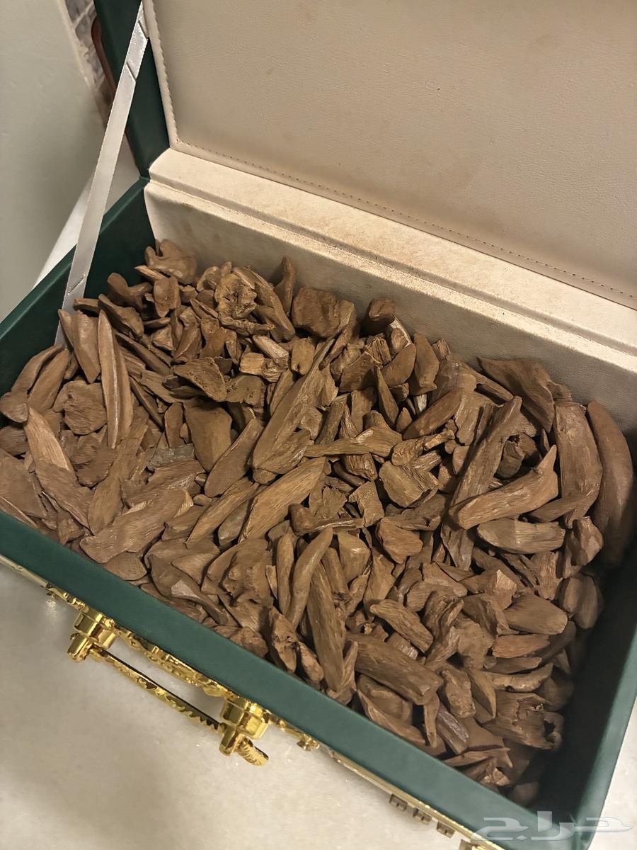 عود موروكي آصقون فاخر ( طبيعي ) سعر منافس64578703548035111