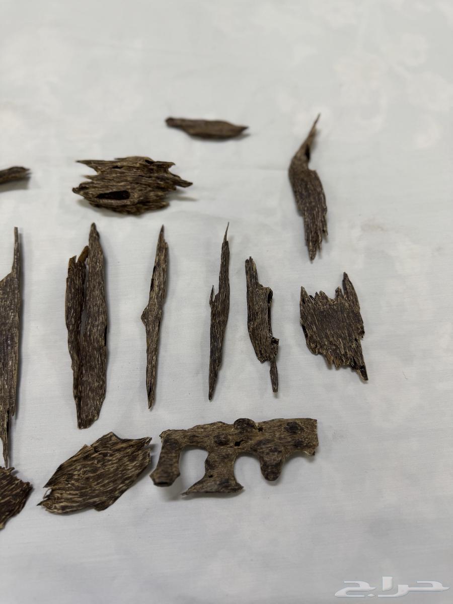 عود ماليزي غابة بهانج فاخر دبل سوبر واعلى64578214981379114