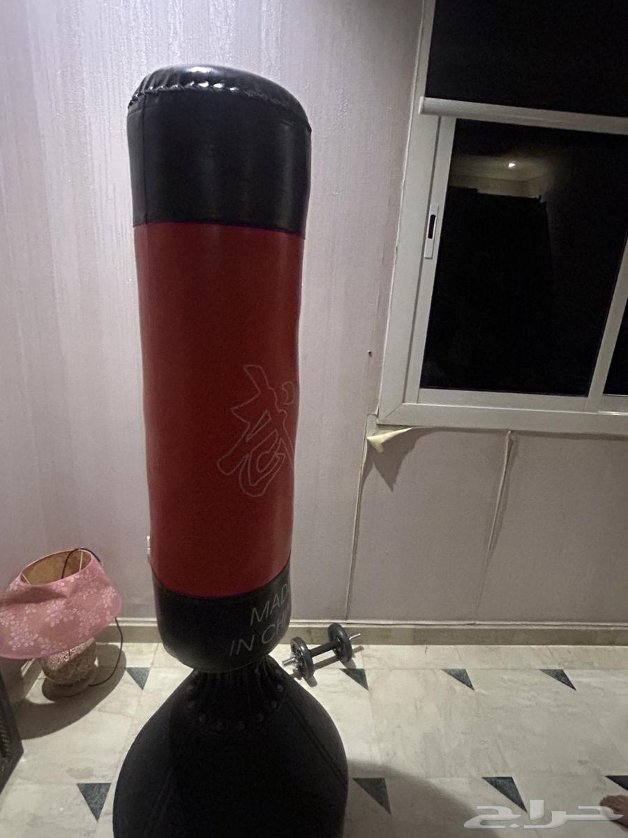 بوكسنج للبيع64572650125569110