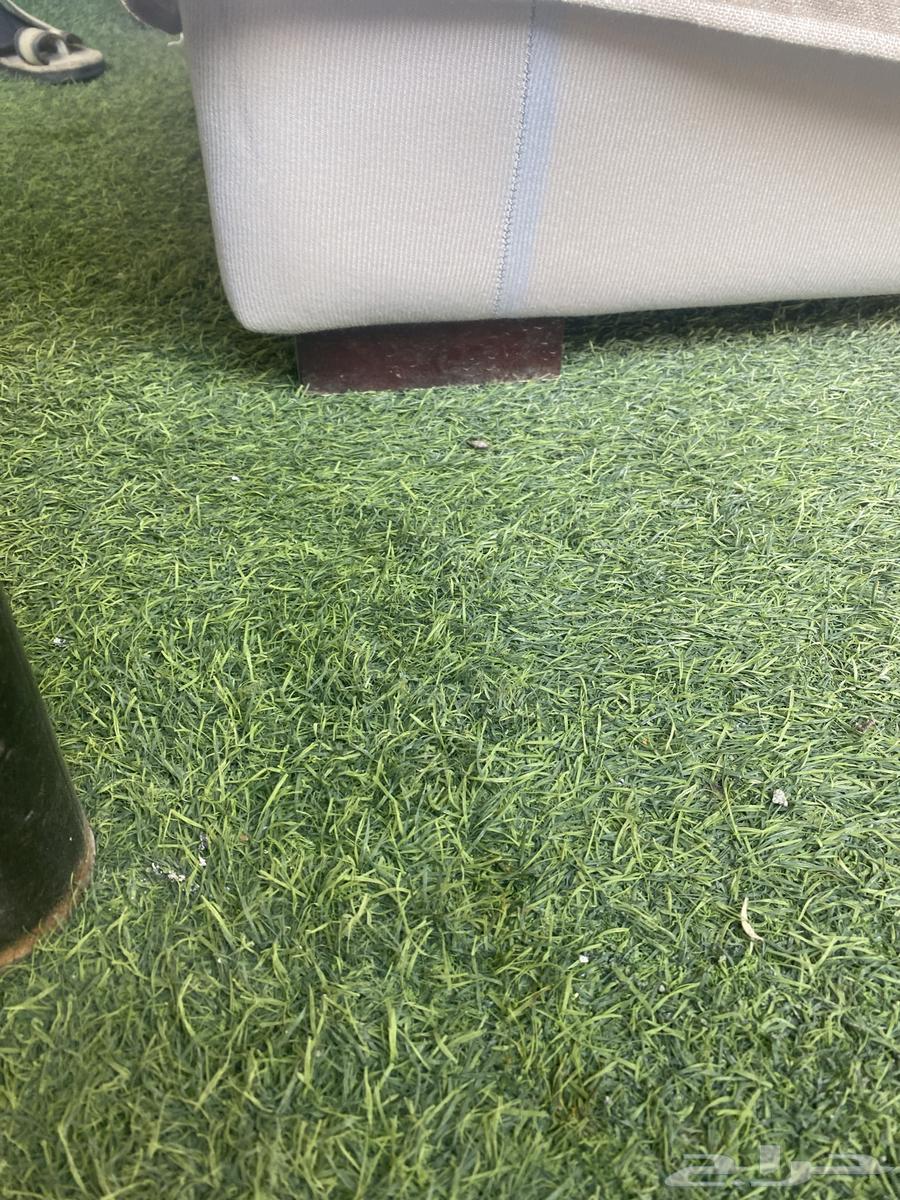 كنب64574607144578113