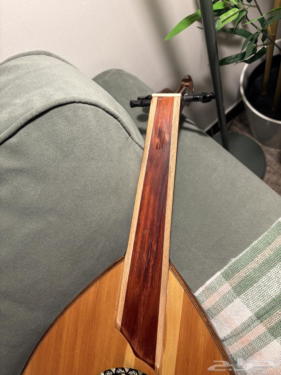 عود مصري (تعليمي)64575335840898112