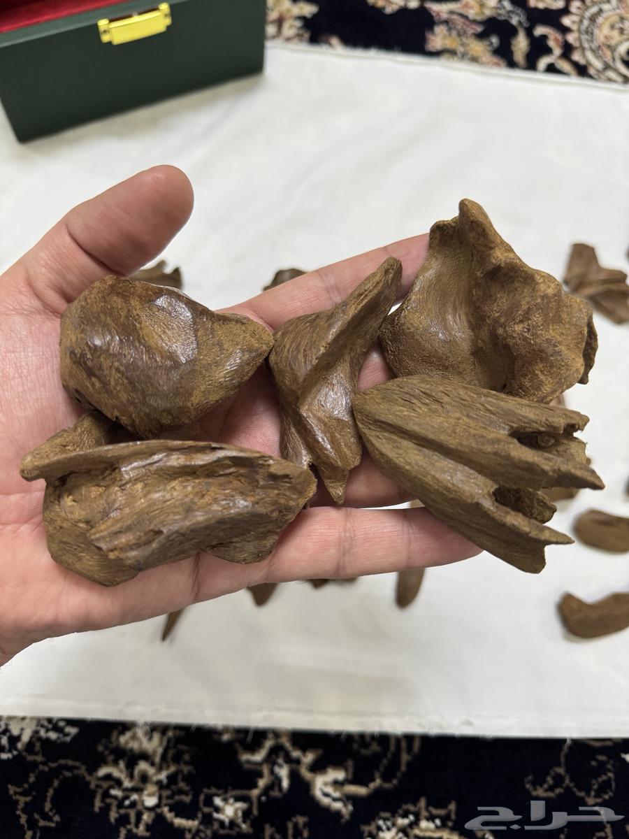 مروكي اصقون تربل سوبر نكهة فاخرة جدا64575363696514114