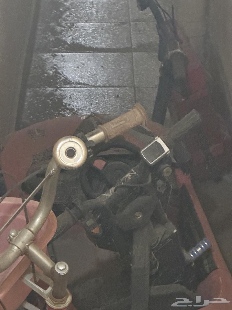 درفت ودراجات للبيع64571922682242111