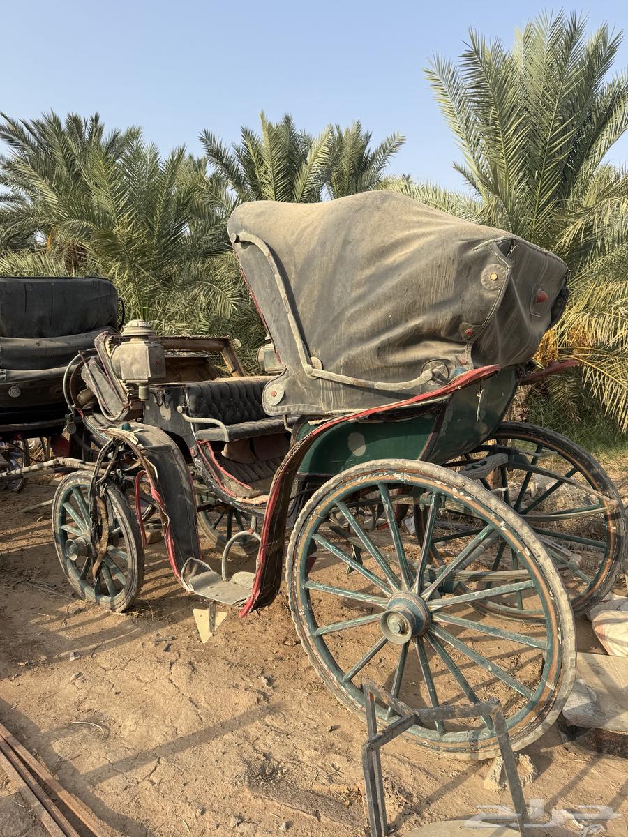 عربات خيل للبيع64576604241154112