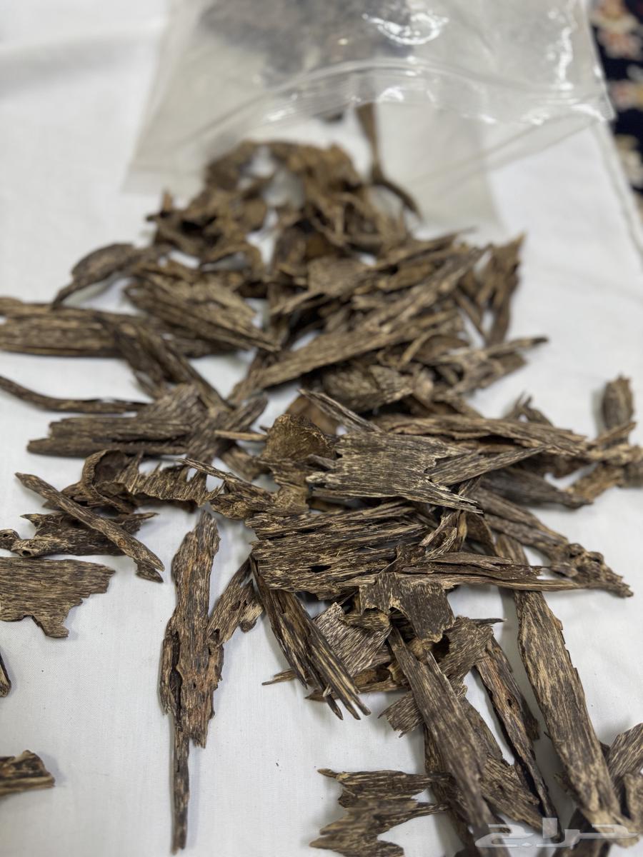 عود ماليزي غابة بهانج فاخر دبل سوبر واعلى64578214981379112