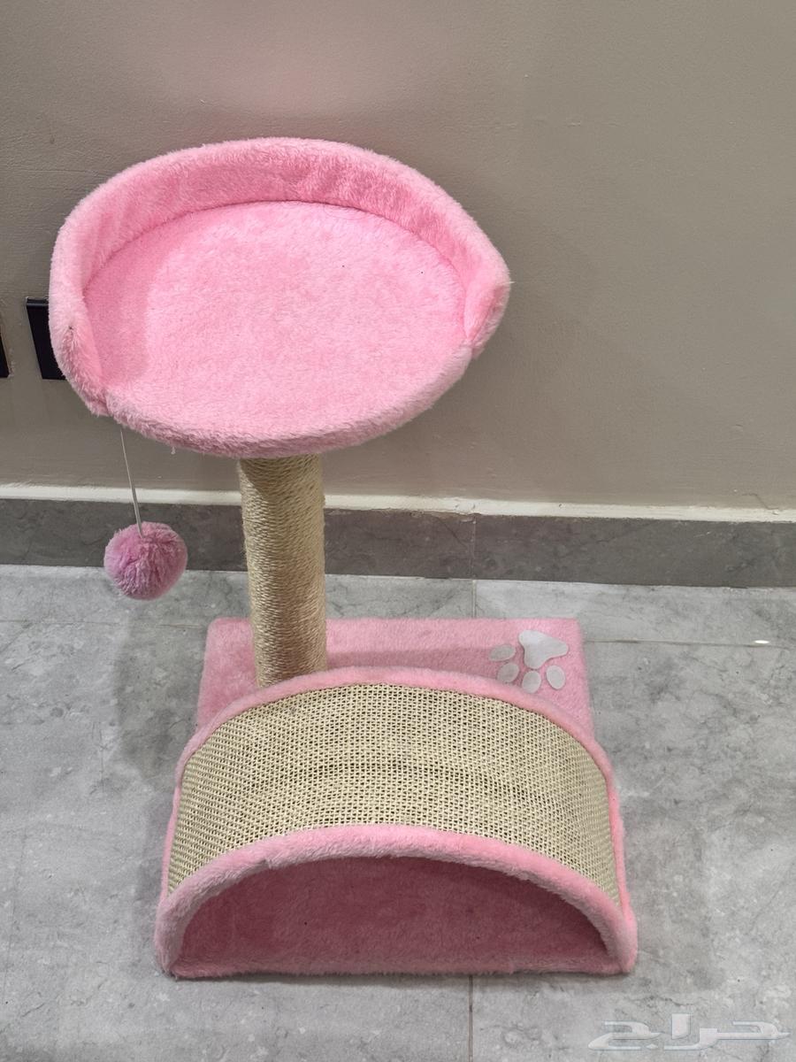 شجره العاب للقطط متوسطة الحجم64577346117761110