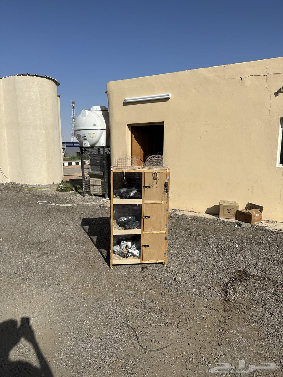 Hunting Accessories64576058320513112