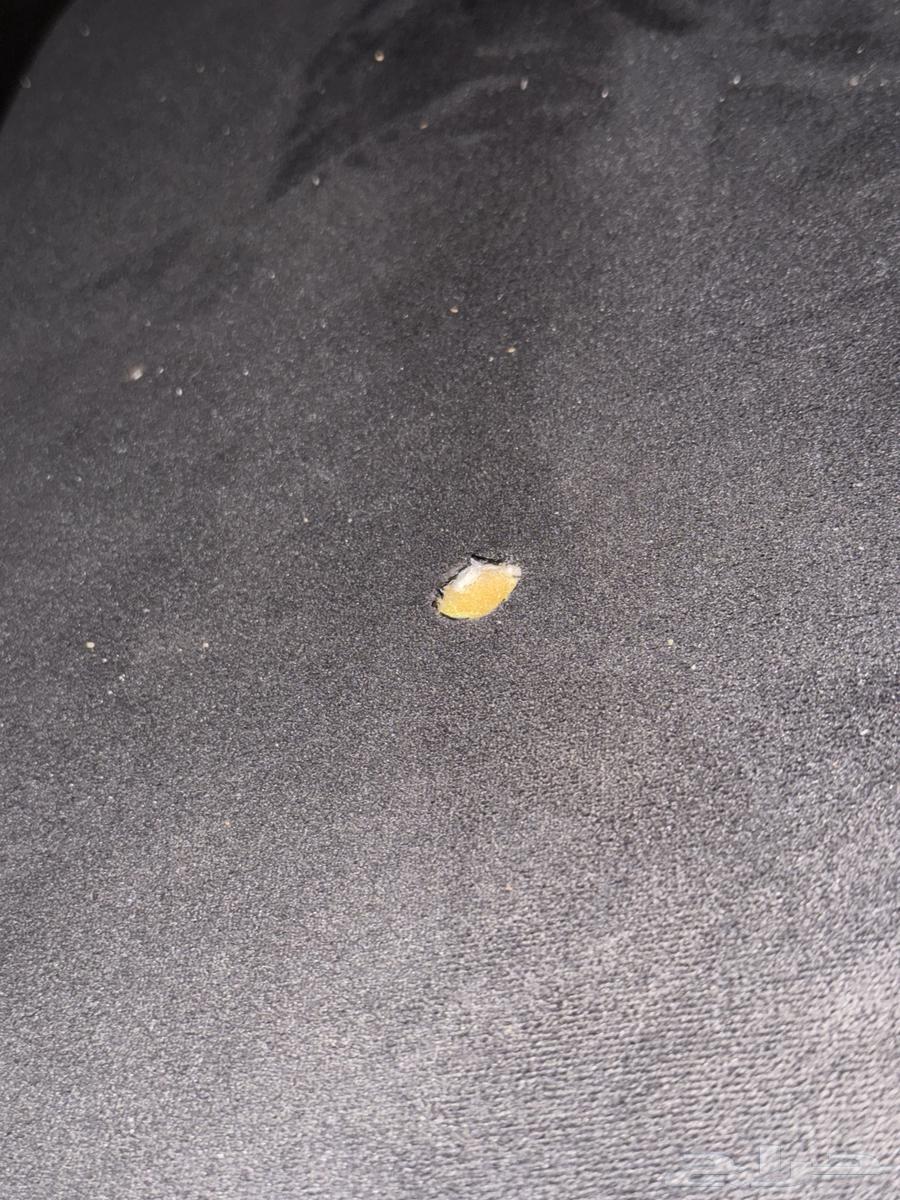 كنب وسرير مخمل اسود من هوم سنتر جدة64572495045762112