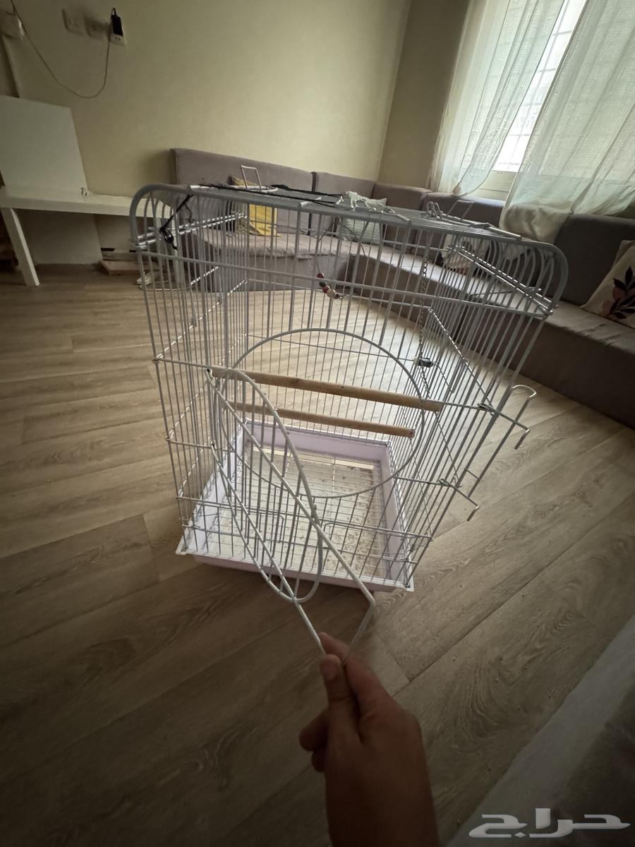 قفص ببغاء64574369747713112