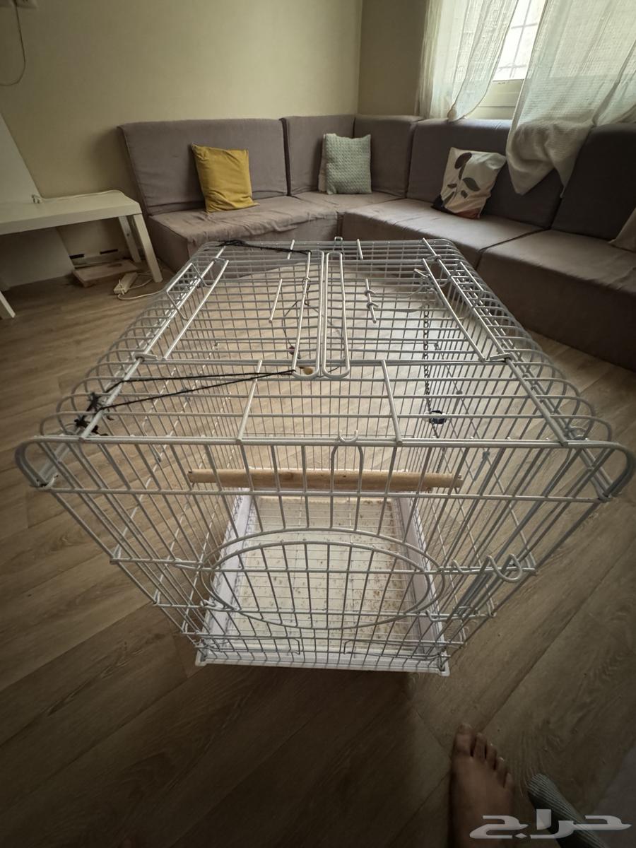 قفص ببغاء64574369747713113