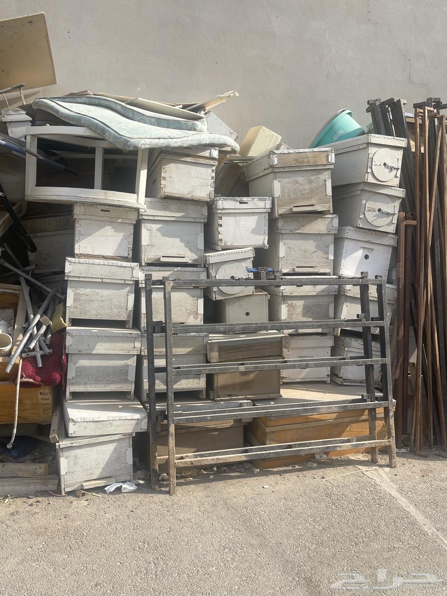 خلايا نحل ولوازم المنحل64576087152131110