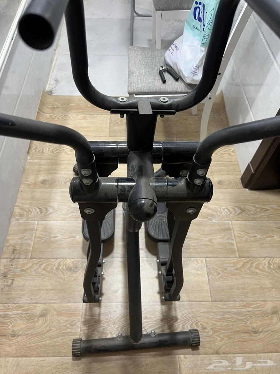 للبيع غزال الطاير64575112665601112