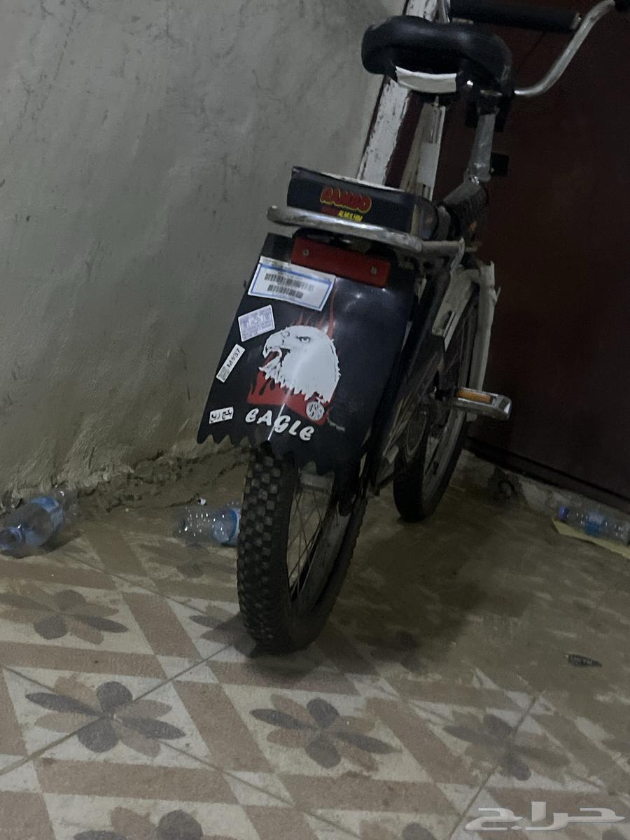 رامبو للبيع مقاس 2064578841454850110