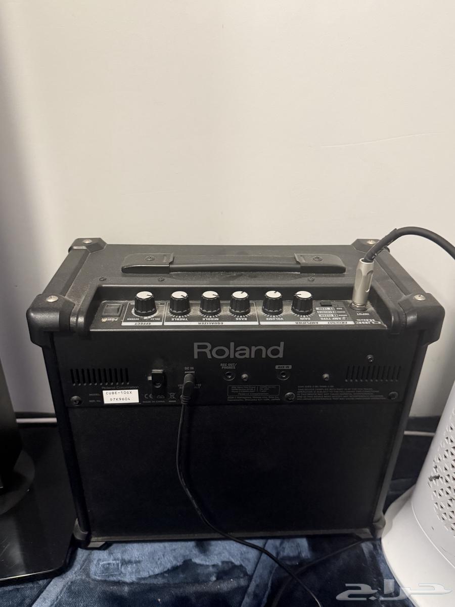 قيتار كهرباء EC-256 مع roland cube-100x64578493825537114
